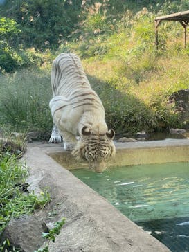 伊豆アニマルキングダムに投稿された画像（2020/10/18）