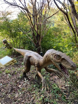 伊豆アニマルキングダムに投稿された画像（2020/10/18）