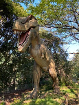 伊豆アニマルキングダムに投稿された画像（2020/10/18）