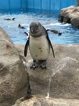 横浜・八景島シーパラダイスに投稿された画像（2020/10/18）