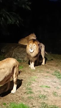 天王寺動物園に投稿された画像（2020/10/18）
