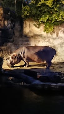天王寺動物園に投稿された画像（2020/10/18）