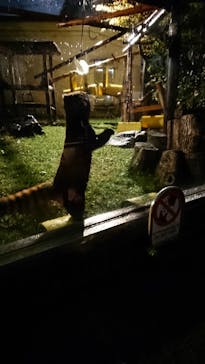 天王寺動物園に投稿された画像（2020/10/18）