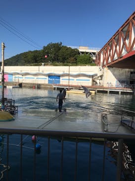 伊豆・三津シーパラダイスに投稿された画像（2020/10/18）
