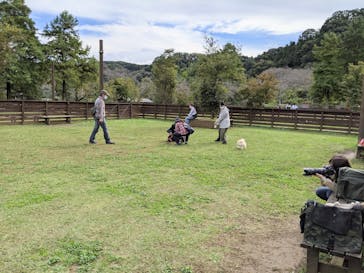 わんダフルネイチャーヴィレッジに投稿された画像（2020/10/18）