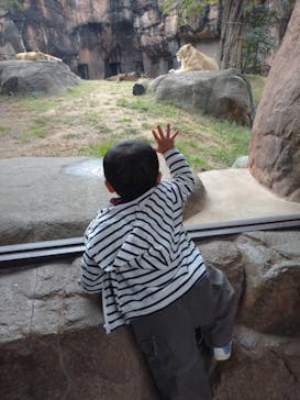 天王寺動物園に投稿された画像（2020/10/18）