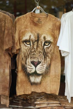 天王寺動物園に投稿された画像（2020/10/18）