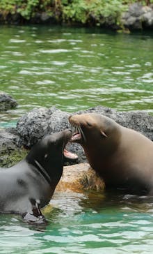 天王寺動物園に投稿された画像（2020/10/18）