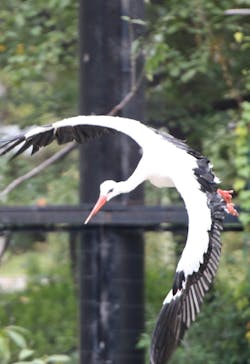 天王寺動物園に投稿された画像（2020/10/18）