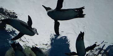 サンシャイン水族館に投稿された画像（2020/10/18）