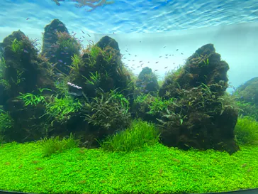 すみだ水族館に投稿された画像（2020/10/18）