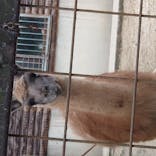 野外民族博物館 リトルワールドに投稿された画像（2020/10/18）