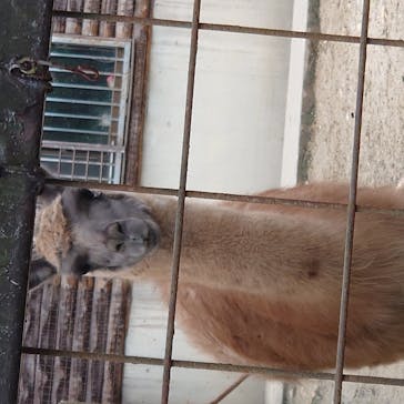 野外民族博物館 リトルワールドに投稿された画像（2020/10/18）