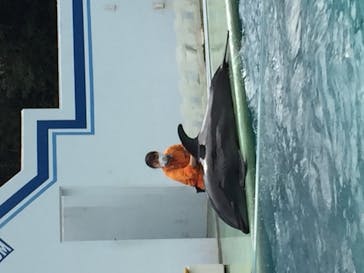しながわ水族館に投稿された画像（2020/10/18）