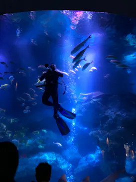 すみだ水族館に投稿された画像（2020/10/18）