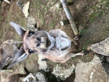 伊豆シャボテン動物公園に投稿された画像（2020/10/18）