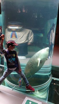 旭川市旭山動物園に投稿された画像（2020/10/18）