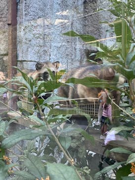 天王寺動物園に投稿された画像（2020/10/18）