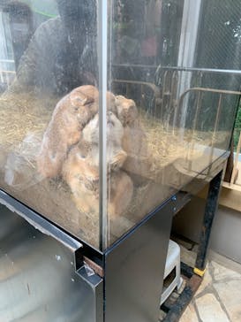 横浜・八景島シーパラダイスに投稿された画像（2020/10/18）