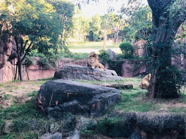 天王寺動物園に投稿された画像（2020/10/18）