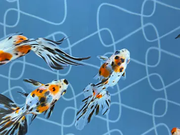 すみだ水族館に投稿された画像（2020/10/18）