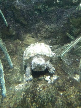 天王寺動物園に投稿された画像（2020/10/18）