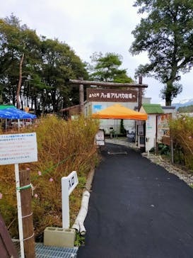 八ヶ岳アルパカ牧場に投稿された画像（2020/10/18）