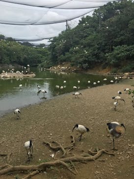 ネオパークオキナワに投稿された画像（2020/10/18）