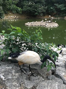 ネオパークオキナワに投稿された画像（2020/10/18）