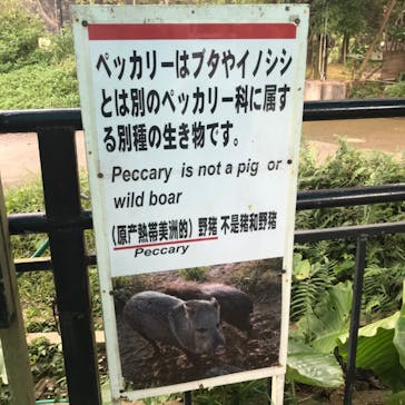 ネオパークオキナワに投稿された画像（2020/10/18）