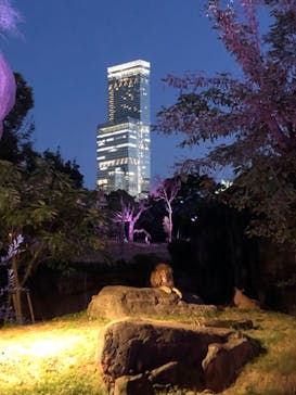 天王寺動物園に投稿された画像（2020/10/18）