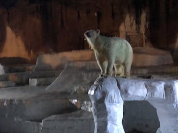 天王寺動物園に投稿された画像（2020/10/18）