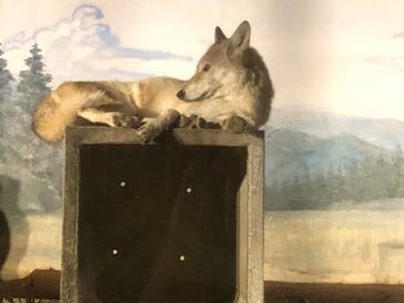 天王寺動物園に投稿された画像（2020/10/18）