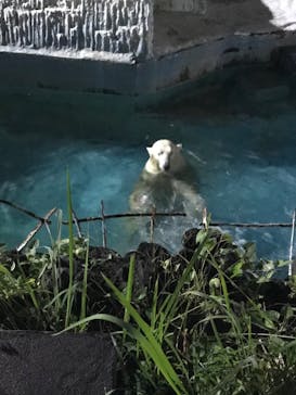 天王寺動物園に投稿された画像（2020/10/18）