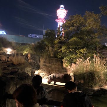 天王寺動物園に投稿された画像（2020/10/18）