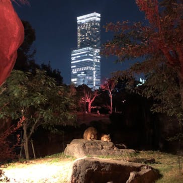 天王寺動物園に投稿された画像（2020/10/18）