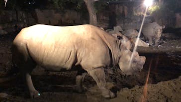天王寺動物園に投稿された画像（2020/10/18）