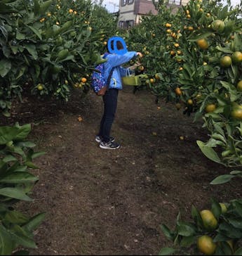 芝口果樹園に投稿された画像（2020/10/18）