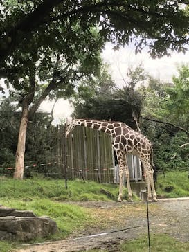 天王寺動物園に投稿された画像（2020/10/18）