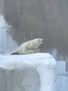 天王寺動物園に投稿された画像（2020/10/18）