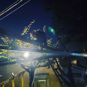 天王寺動物園に投稿された画像（2020/10/18）