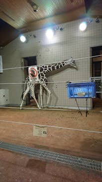 天王寺動物園に投稿された画像（2020/10/18）