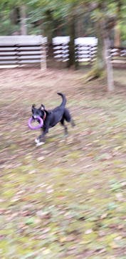 わんダフルネイチャーヴィレッジに投稿された画像（2020/10/18）