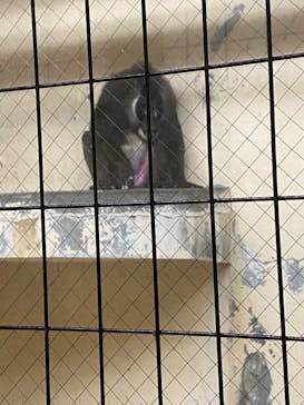 天王寺動物園に投稿された画像（2020/10/18）