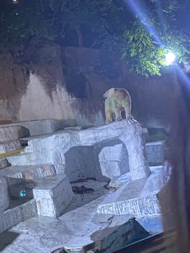 天王寺動物園に投稿された画像（2020/10/18）