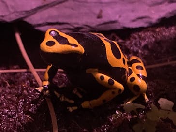 サンシャイン水族館に投稿された画像（2020/10/18）