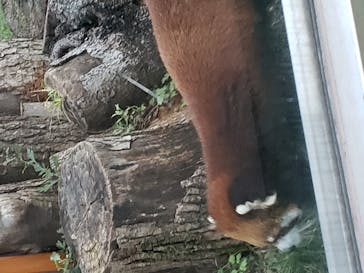 天王寺動物園に投稿された画像（2020/10/18）