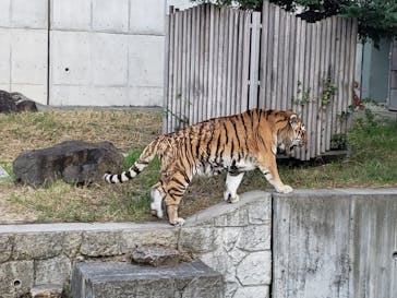 天王寺動物園に投稿された画像（2020/10/18）
