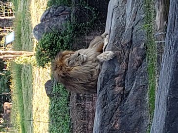 天王寺動物園に投稿された画像（2020/10/18）