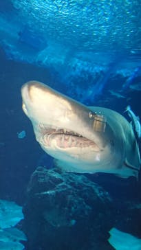 マリンワールド海の中道に投稿された画像（2020/10/18）